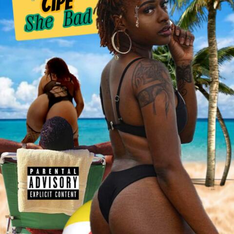 she bad album art
