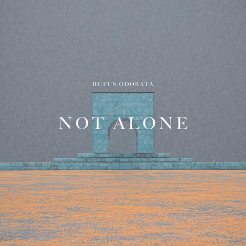 Not Alone album art