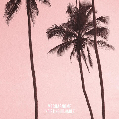 Indistinguishable album art