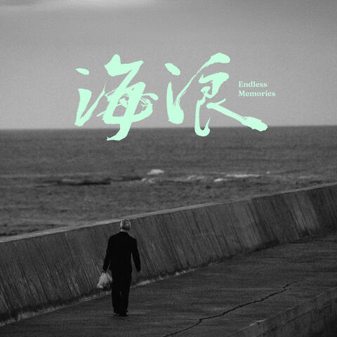 Endless Memories album art