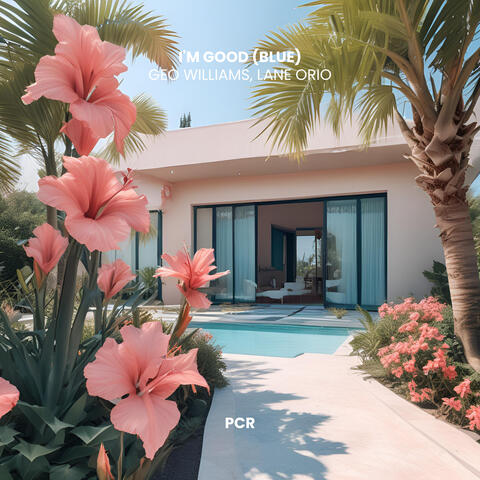 I'm Good (Blue) album art