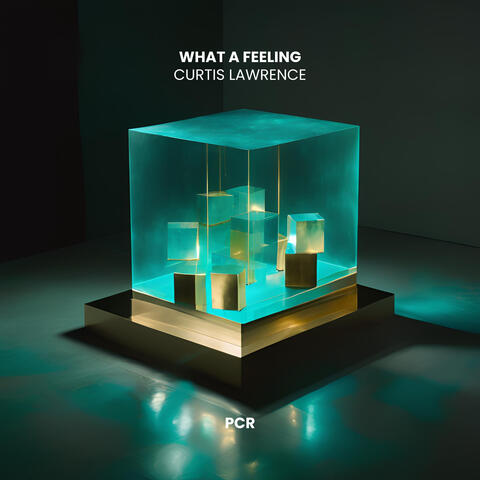 What A Feeling album art
