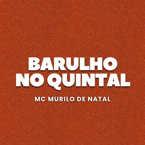 Barulho no Quintal album art