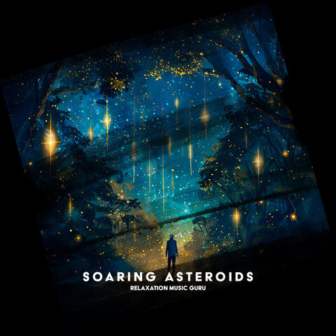 Soaring Asteroids album art