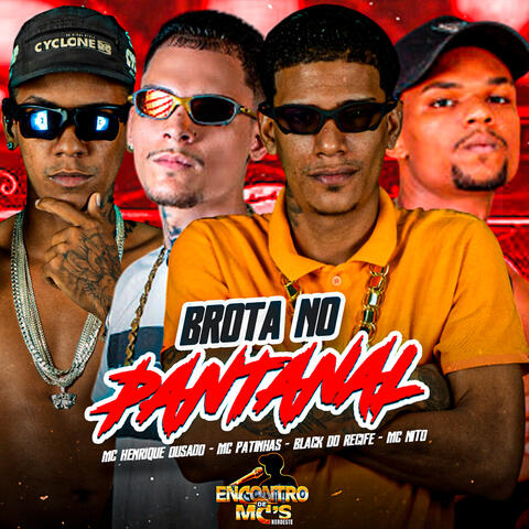 BROTA NO PANTANAL album art