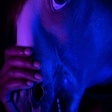 Thick Skin album art