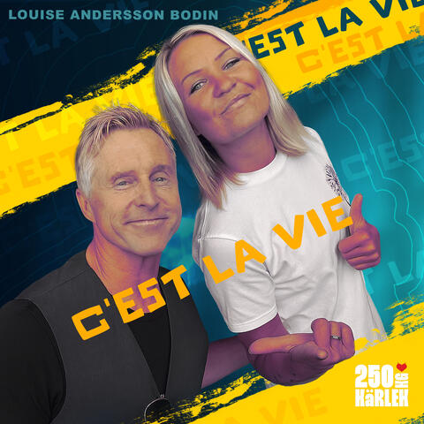 C'est la vie album art