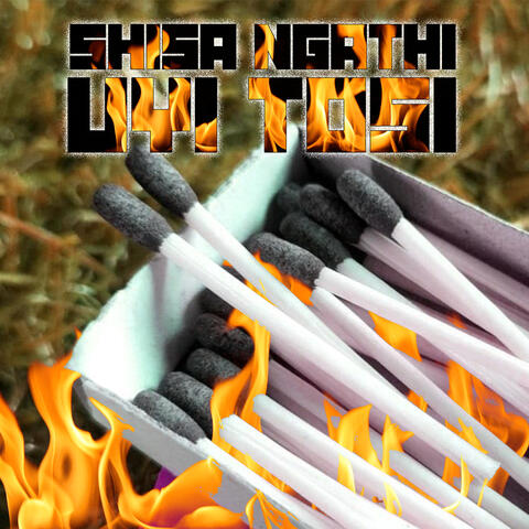 SHISA NGATHI UYI TOSI album art