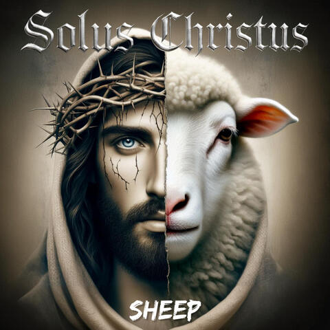 Sheep album art