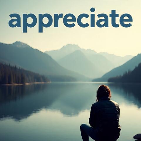 Appreciate album art