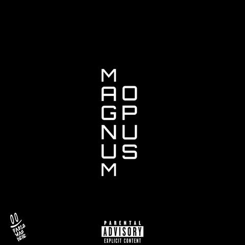 Magnum Opus album art