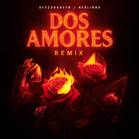 Dos Amores album art