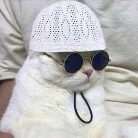 Saudad album art