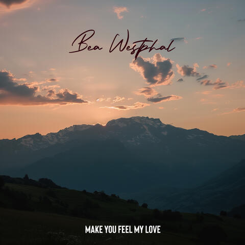 Make You Feel My Love album art