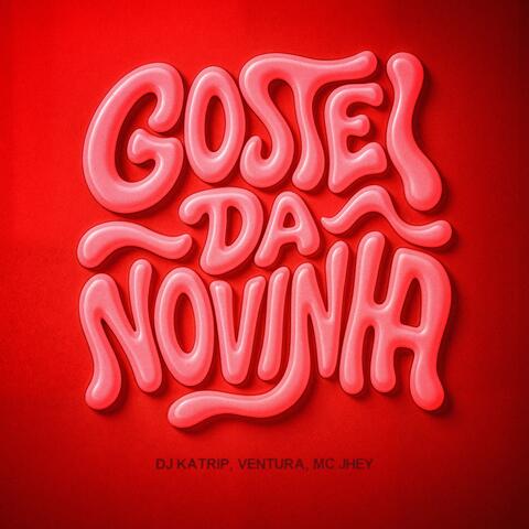 Gostei da Novinha album art