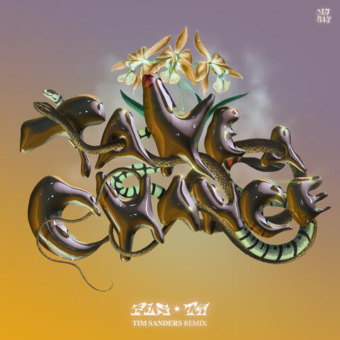 Take A Chance album art