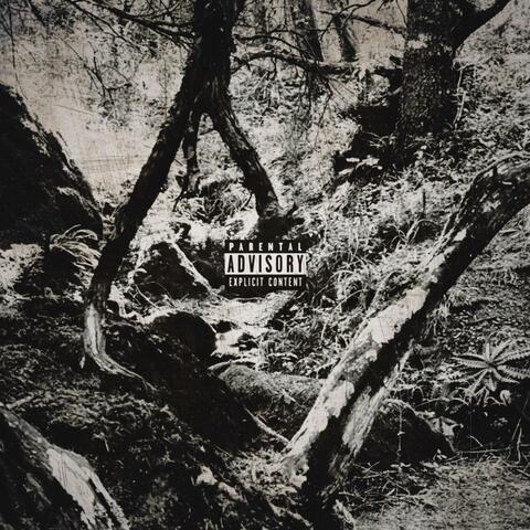 A Rapper, Dealer & A Homelles Walk Into A Bar album art