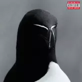 Image of RAZORBILL