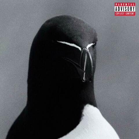 RAZORBILL album art