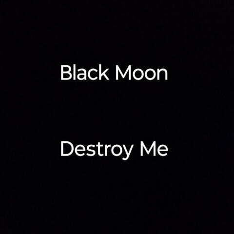Destroy Me album art