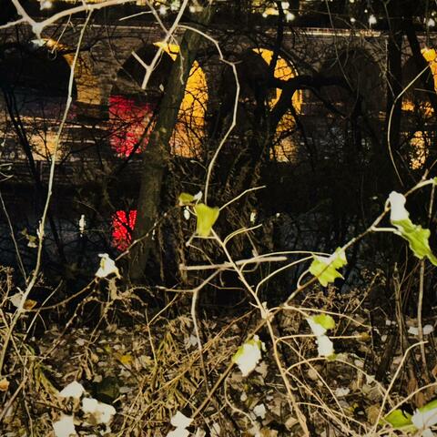 Chicago Witches album art