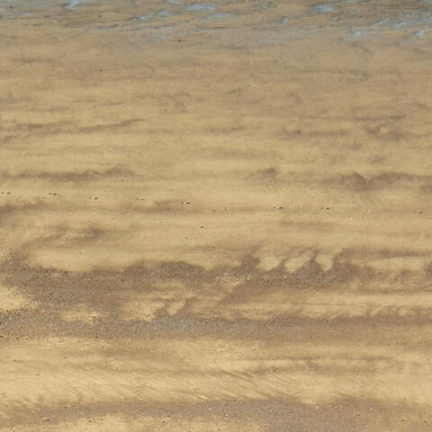 The Last Page of My Diary (Blank) album art