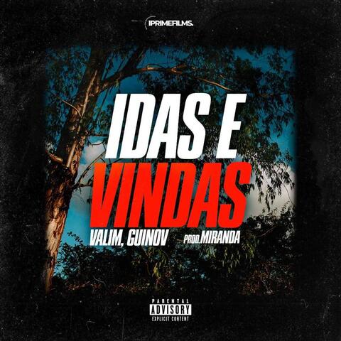 Idas e Vindas album art