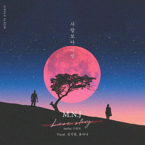 러브 스토리 (Love Story) album art
