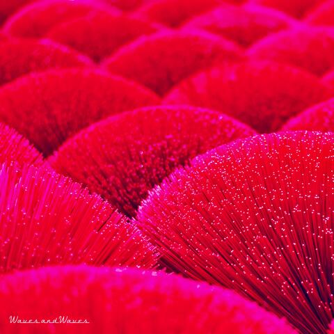 Vermilion Dreams album art