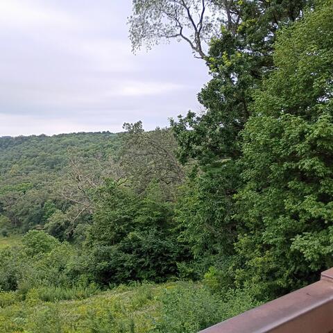 Dedication album art