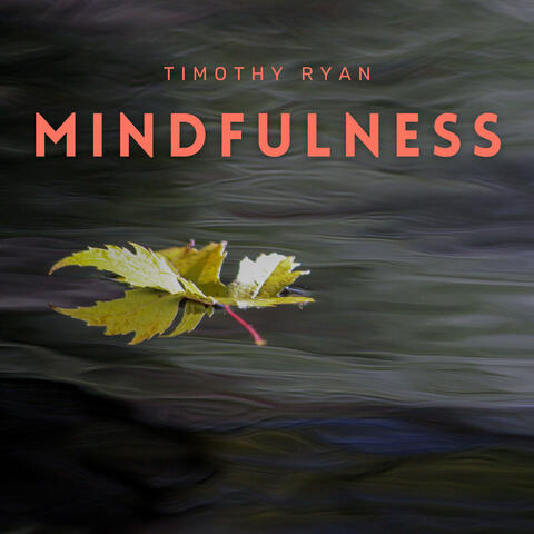 Mindfulness album art