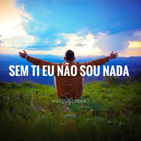Sem Ti Eu Não Sou Nada album art