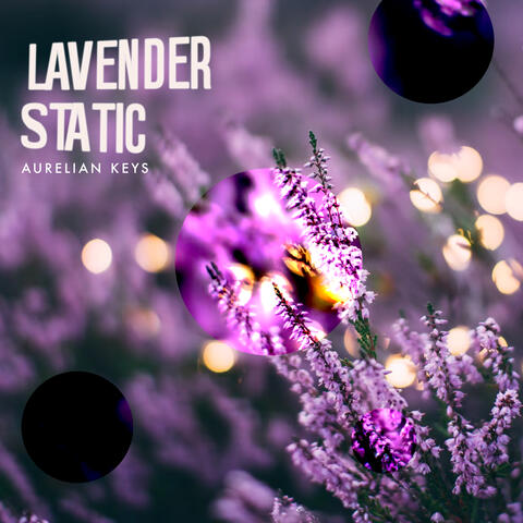 Lavender Static album art