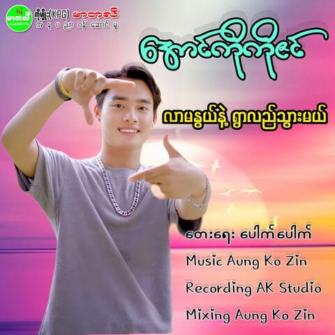 Lar Ma Nwe Nae Ywar Lal Thwar Mal album art