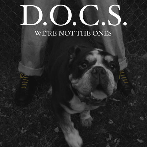 WE'ER NOT THE ONES album art