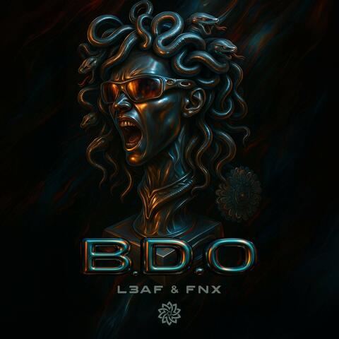 BDO album art