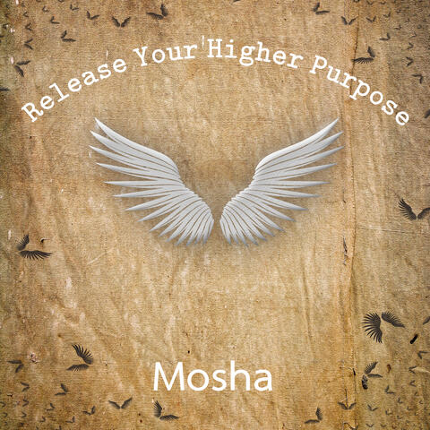 Release Your Higher Purpose album art