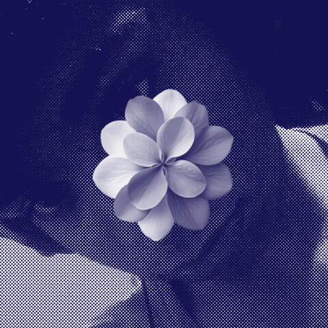 Para De Falar album art