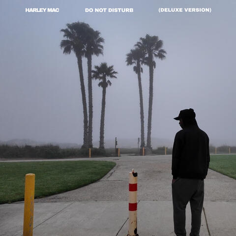 DO NOT DISTURB (Deluxe Version) album art
