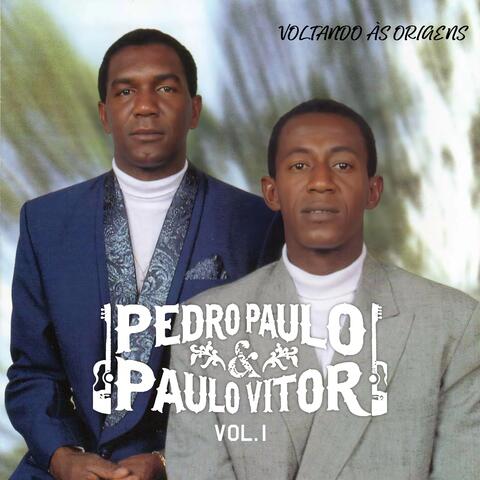 Voltando às Origens - Vol.1 album art