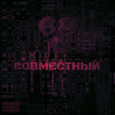 СОВМЕСТНЫЙ album art
