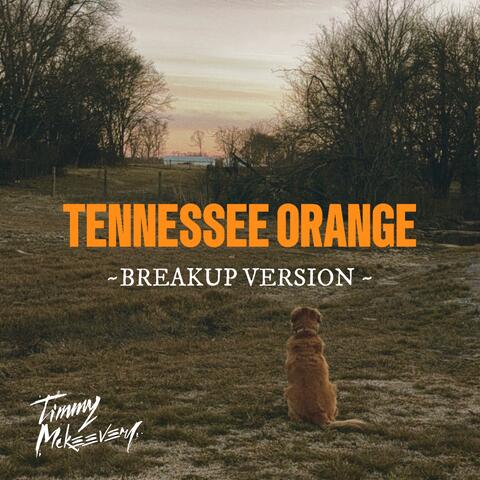Tennessee Orange album art