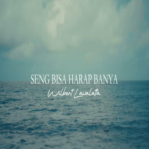Seng Bisa Harap Banya album art