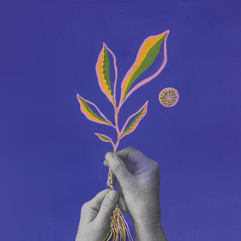 Turn O Spinning Wheel album art