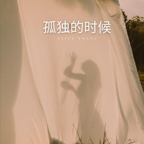 孤独的时候 album art