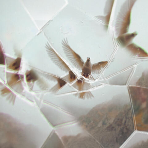Prison Break album art