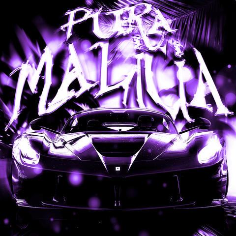 PURA MALÍCIA album art
