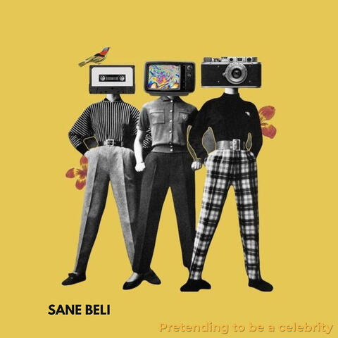 Pretending to be a celebrity album art