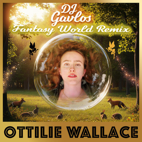 Fantasy World album art