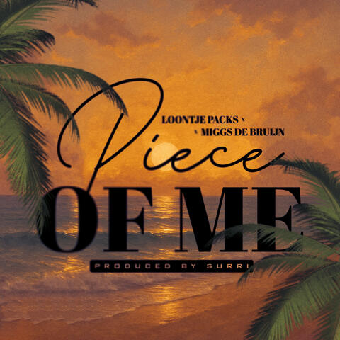 Piece of me album art